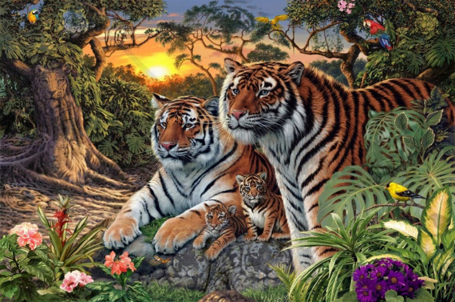 Jó megfigyelő vagy? Hány tigrist látsz a képen? A legtöbben csak 4-et vesznek észre, pedig több van!